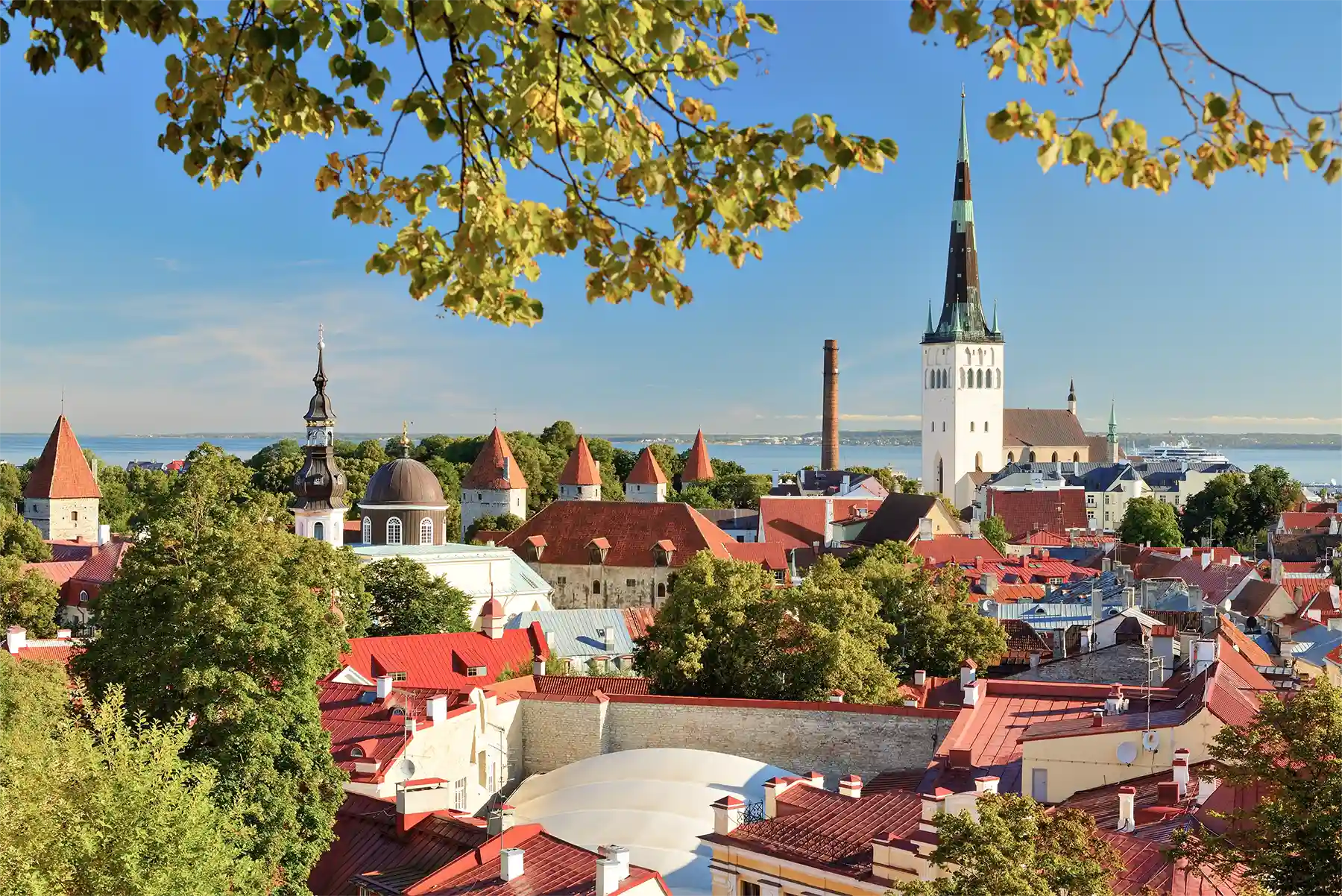 Ausblick auf die Stadt Tallinn, wo man e-Resident werden kann.